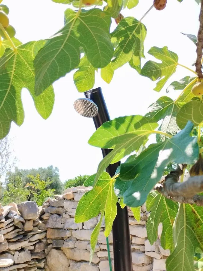 Apartament Marti'S House In The Olive Grove Fažana