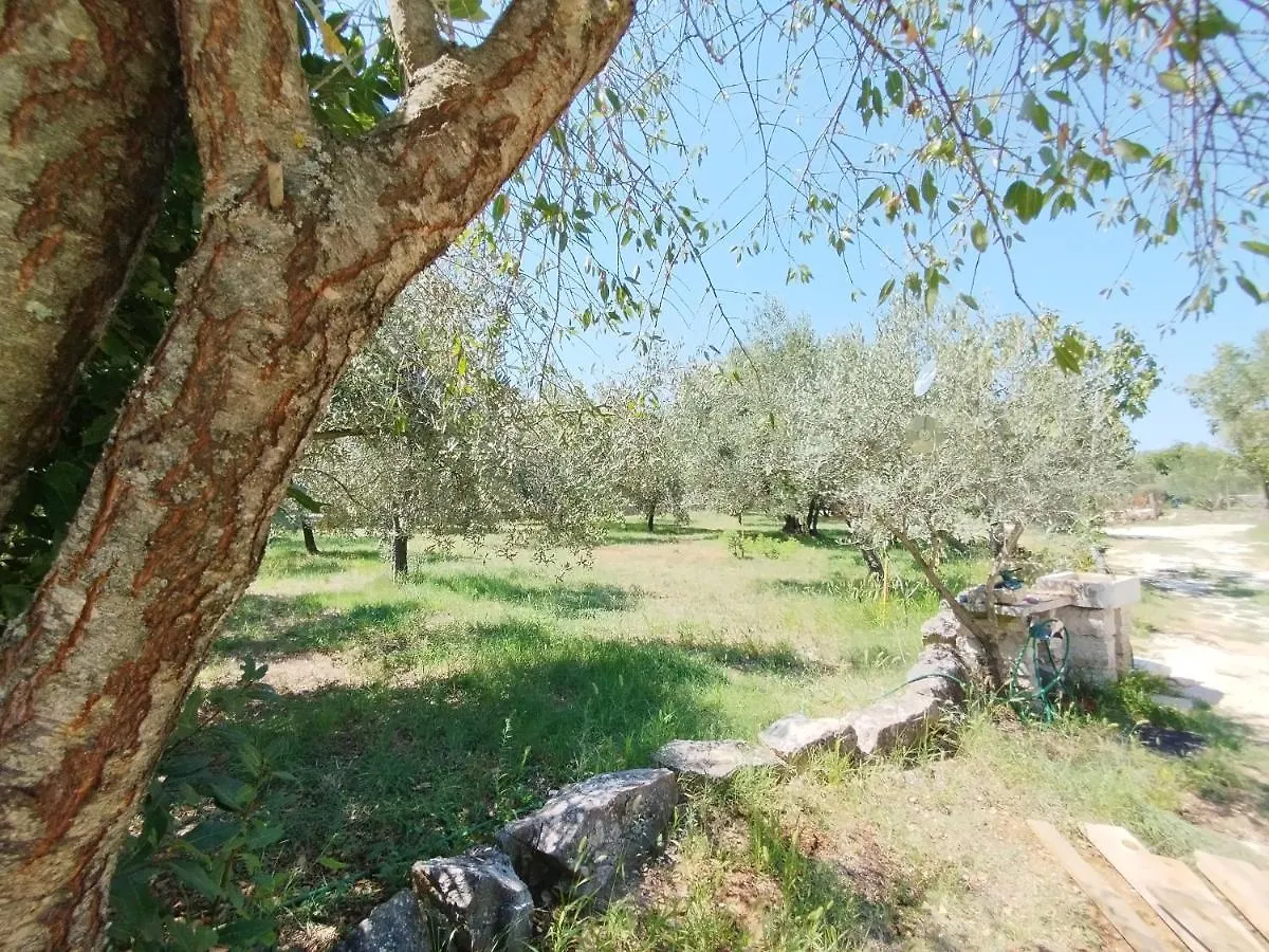 Appartement Marti'S House In The Olive Grove à Fažana