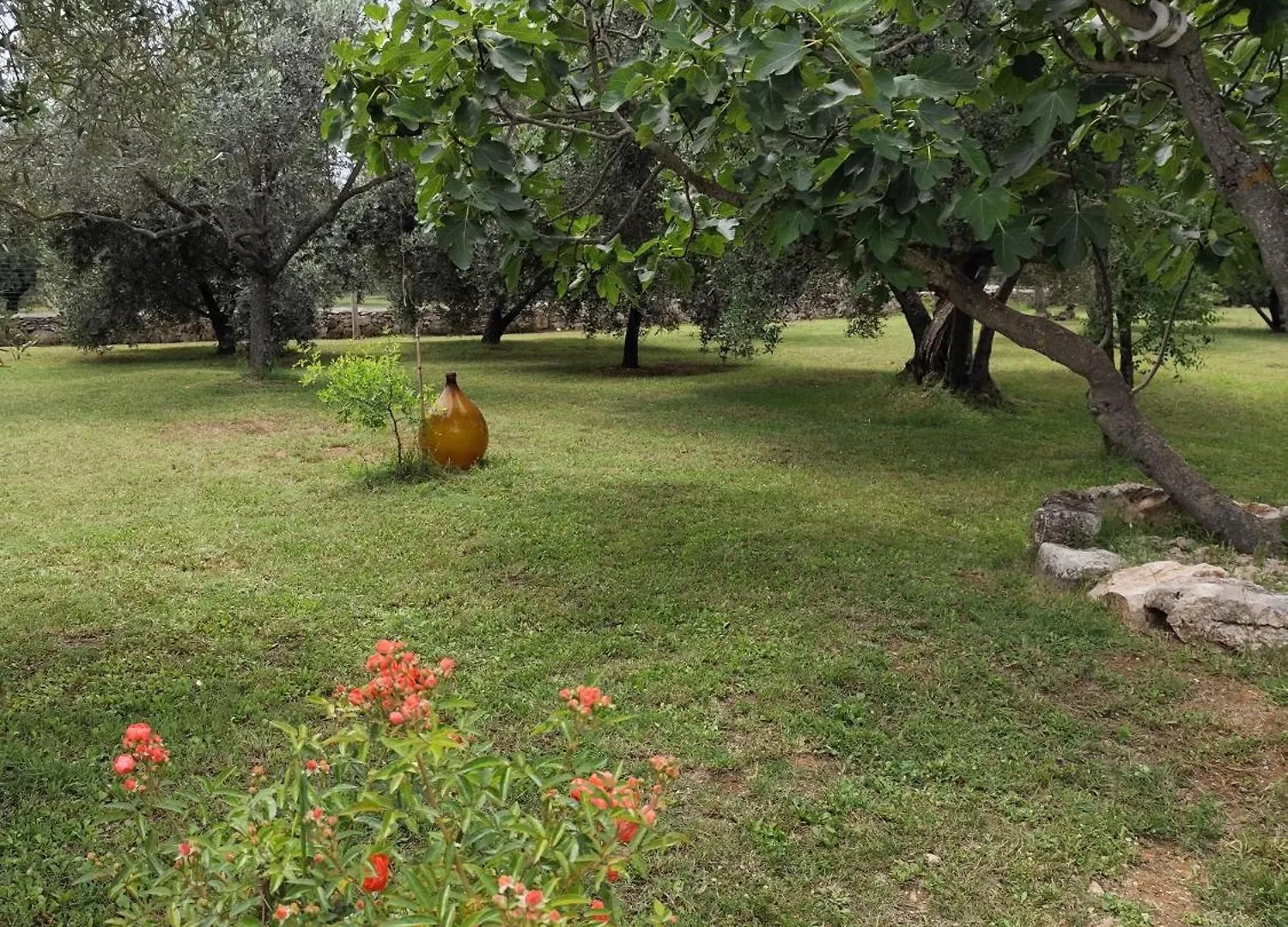 Appartement Marti'S House In The Olive Grove à Fažana 0*,