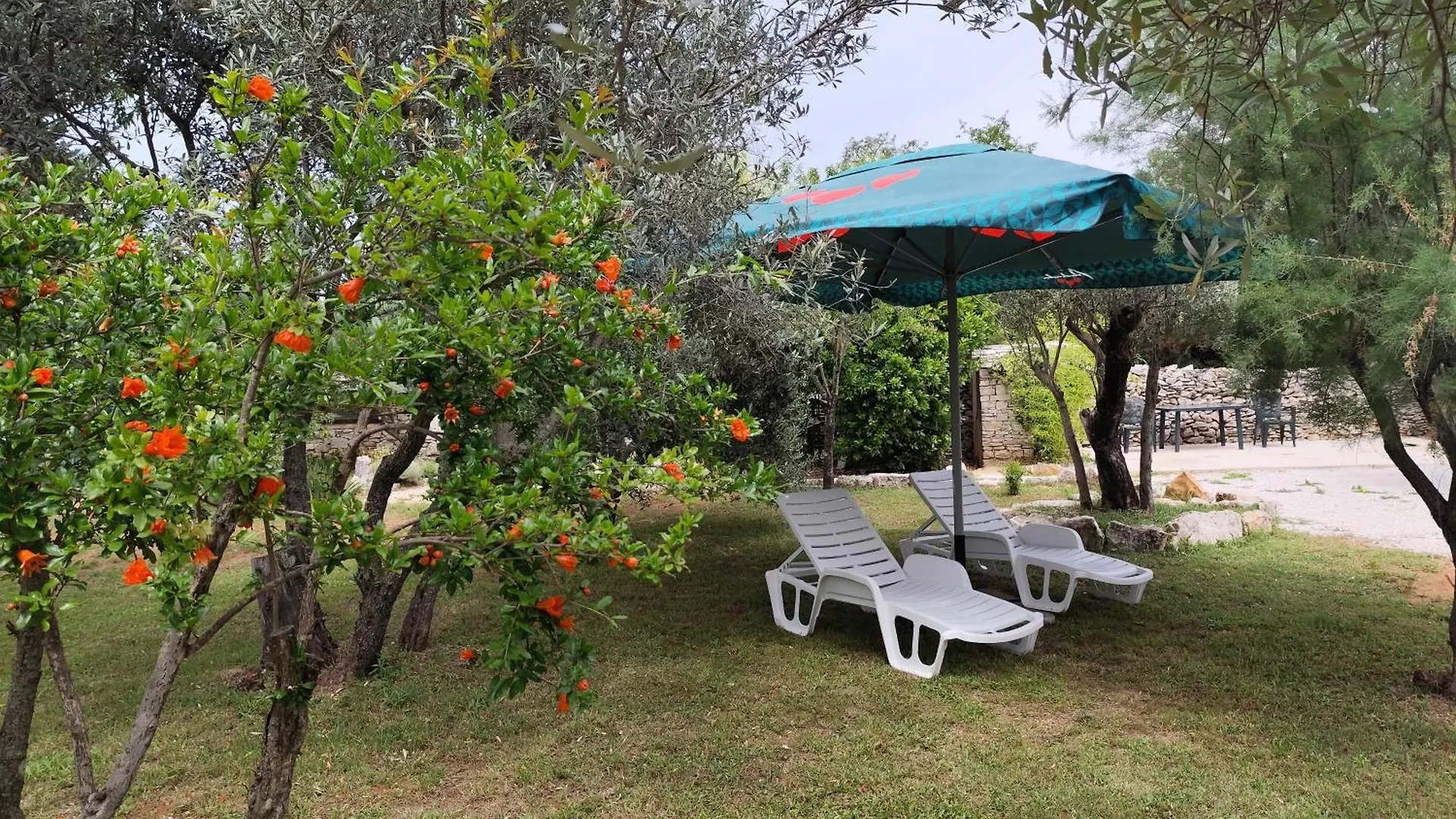 Appartement Marti'S House In The Olive Grove à Fažana Croatie